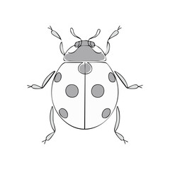 Obraz premium Vector illustration of a stylized ladybug, with grey spots and details, top view