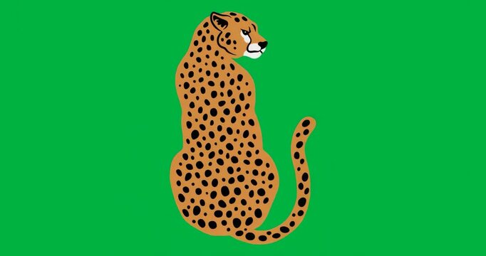 Stylized spotted cat looking over shoulder on transparent background, enhancing branding design