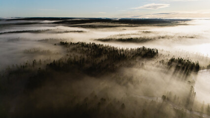A breathtaking aerial view reveals the serene beauty of Canyon Lake, nestled in Hossa National Park, Finland.