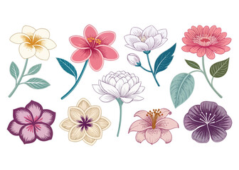 Elegant Floral Collection Hand Drawn Style Botanical Illustrations for Wedding Invitations and Decorative Elements Spring Bloom Set on White Background