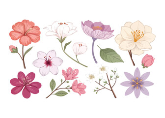 Elegant Floral Vector Illustration with Various Blooming Flowers and Buds in Pastel Colors for Springtime Designs and Botanical Projects