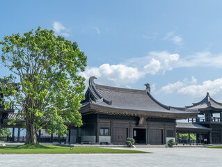 Tsz Shan Monastery, Hong Kong