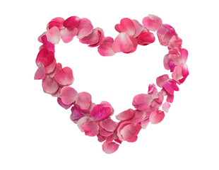 Heart of red and pink rose petals on a white background for congratulations, postcards.