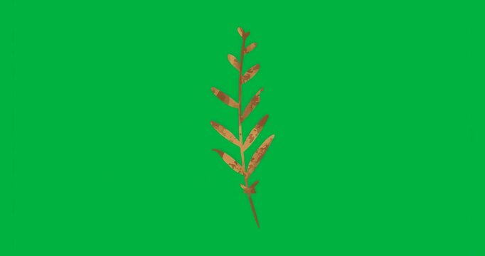 Stylized twig staying centered on transparent backdrop pixel noise showing render consistency