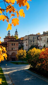 Autumn cityscape with fall foliage