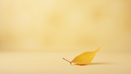 Obraz premium Golden leaf drifting gracefully in soft, warm light against a soothing background evoking tranquility and nature's beauty