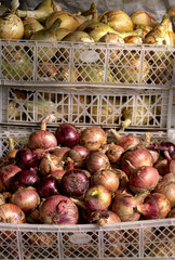 Two boxes of new harvest white and yellow onions.