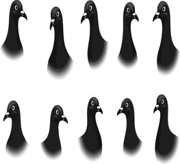 Pigeon kabootar head face set collection pack bundle black shape icon silhouette vector flat illustration design on white background.