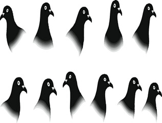 Pigeon kabootar head face set collection pack bundle black shape icon silhouette vector flat illustration design on white background.