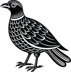 black songbird illustration with detailed feathers, elegant vector art.