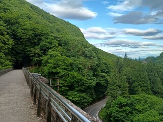森林に囲まれた山間部の遊歩道と金属手すり付き橋、下方に蛇行する舗装道路とトンネル入口を含む交通インフラの遠景