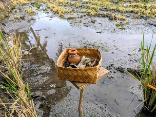 A woven bamboo basket holding pottery and other items sits in a muddy field. The sesaji or offering before farmers work on the field.