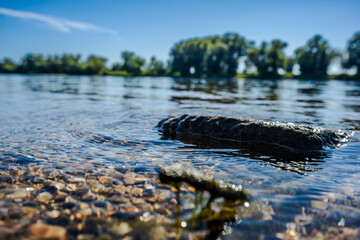 Wasser schöpfen an einem klaren Sommertag am Ufer eines ruhigen Flusses