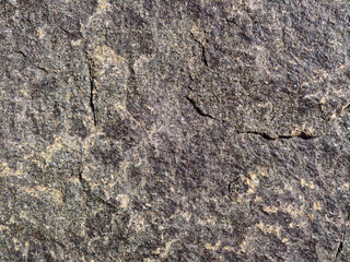 The background is a rock drawing of ancient people close up
