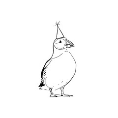 Puffin bird drawing with party hat vector illustration for birthday card design and coloring page project