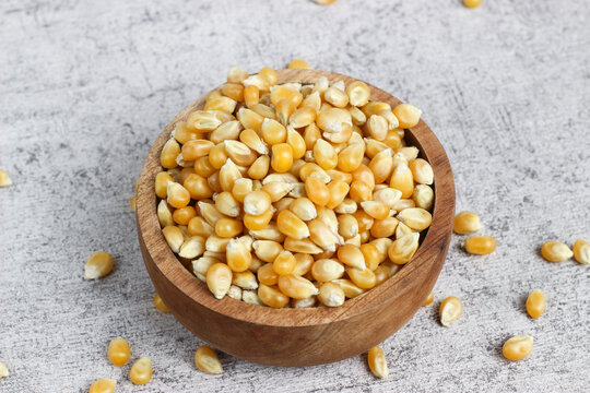Corn kernels. Raw popcorn in a wooden bowl isolated on a gray background.