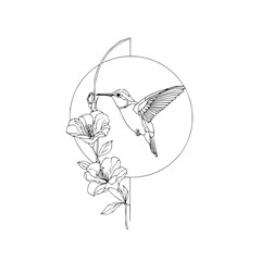 Obraz premium Hummingbird line art drawing with flowers and geometric circle design for wall art and tattoo inspiration