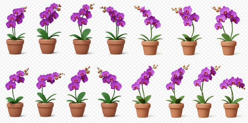 Twelve potted purple orchid plants in varying positions against a transparent background.