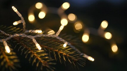 A close-up of warm white Christmas fairy lights wrapped around a pine tree branch with a dark, blurry background creating a beautiful bokeh effect. - Powered by Adobe