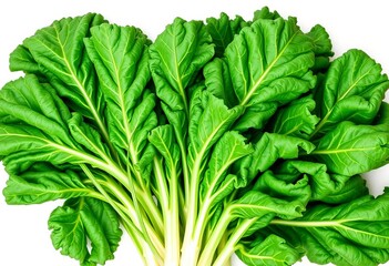 Vibrant green kale leaves, freshly picked, isolated on white,  still life,  healthy eating