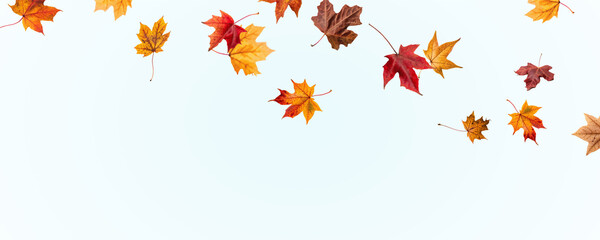 PNG Falling leaves, autumn foliage on transparent background, beautiful background Overlay orange and gold leaves. Vector maple leaf, png, flying foliage from tree.