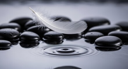 Delicate white feather on smooth black stones in water with ripples.