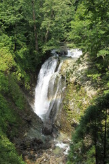 初夏の新緑に包まれた滝の風景