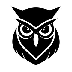 owl on white background