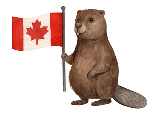 Hand drawn watercolor illustration of a beaver with the National Flag of Canada, isolated on a transparent background   © Niksberry_Art