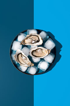 Deliciosas ostras frescas con hielo en un plato sobre un fondo azul bitono. Vista superior
