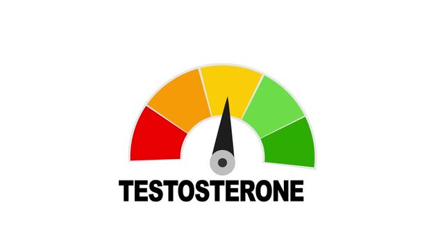 Testosterone level metering. Testosterone hormone speedometer, indicators.