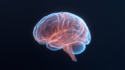 Fototapeta premium Human brain scanning with glowing neurons and neural network connection. Artificial intelligence, data processing, and future biotechnology concept.