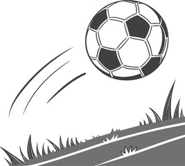An isolated black and white soccer ball in the shape of a heart on a grassy field, symbolizing the love of the game