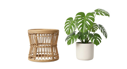 Rattan stool with monstera plant isolated on transparent background, indoor decor