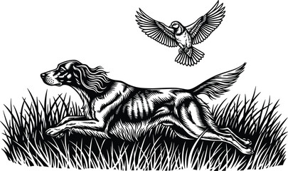 Running dog chasing bird, black and white line art, outdoor nature sketch, tall grass scene, energetic animal illustration drawing