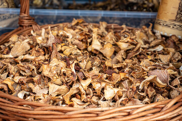 Dried mushrooms close-up