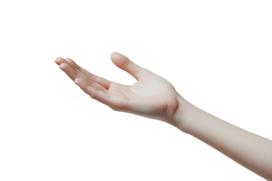 A close up shot of a human hand open facing up against a transparent background