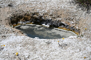 Geysers