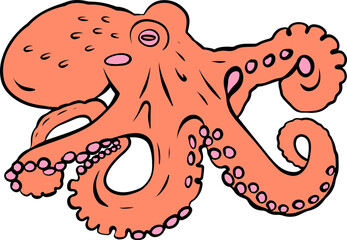 octopus illustratio