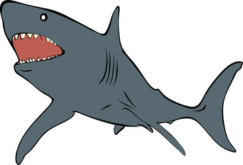 shark