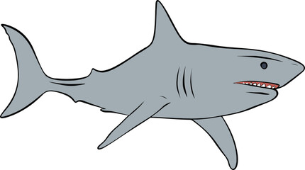 shark