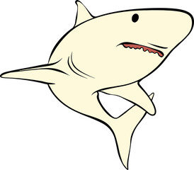 shark