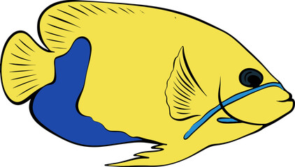 Bright Shoal Basslet Clipart