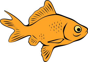 Bright Shoal Basslet Clipart