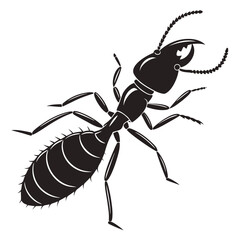 black ant isolated on white background