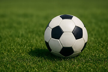 Fototapeta premium Classic black and white soccer ball resting on a green grass field.