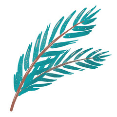 Decorative emerald spruce branch, Christmas design element, isolated for pattern, paper, print. Hand drawn illustration