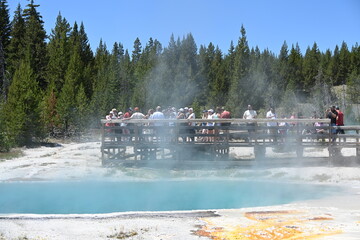 Geysers