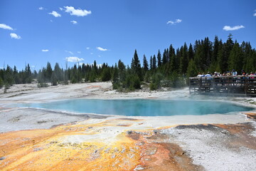 Geysers