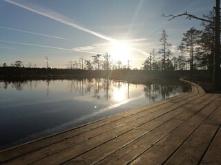 Naklejka premium A narrow boardwalk in a swamp between beautiful lakes